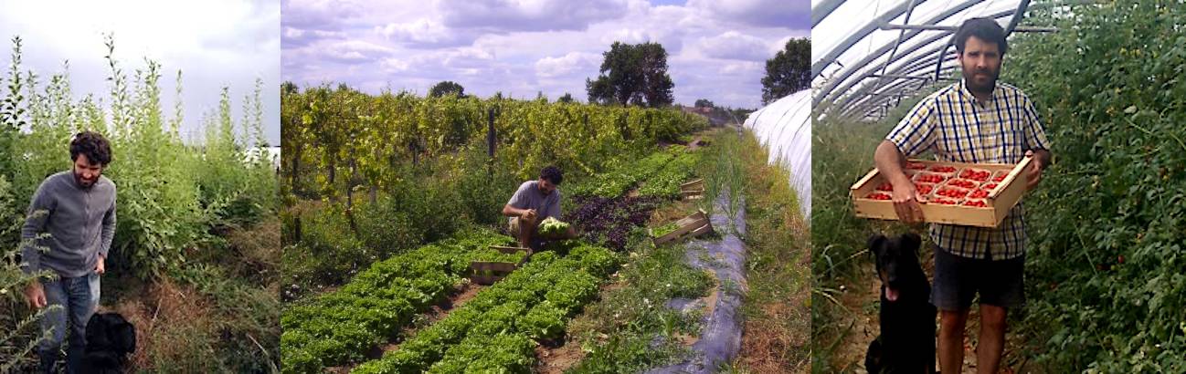 Corentin Nougayrède, Ferme La Margaise