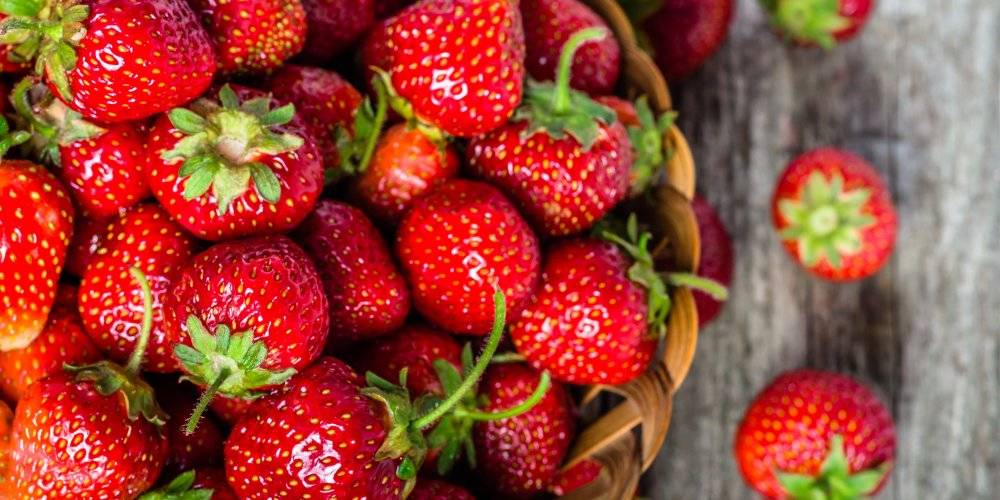 Fraises